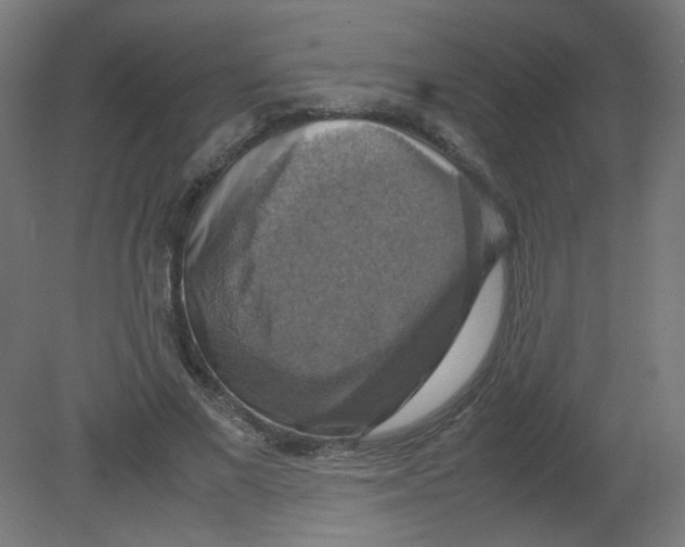 X0000080760685200701122030