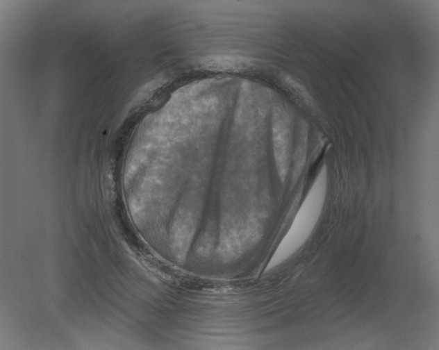 X0000080760688200701122030