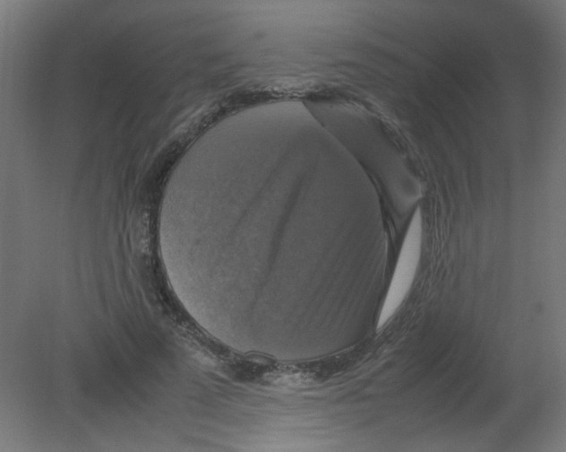 X0000080760689200701122030