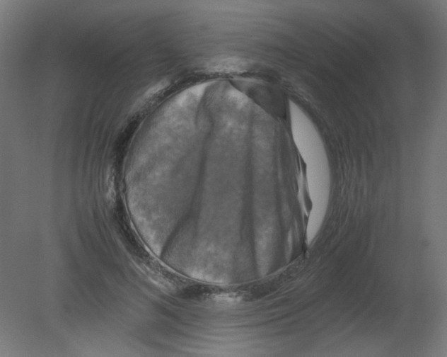 X0000080760692200701122030