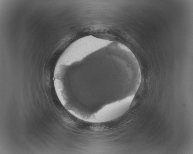X0000080760693200701122030