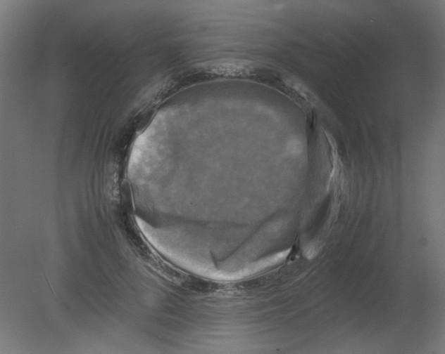 X0000080760696200701122029