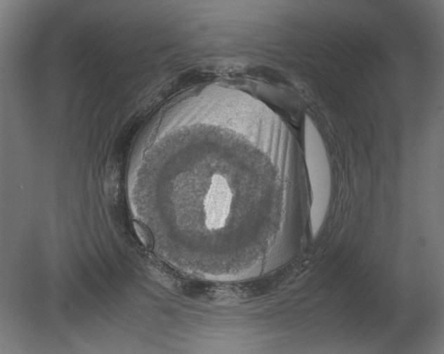X0000080760697200701122029