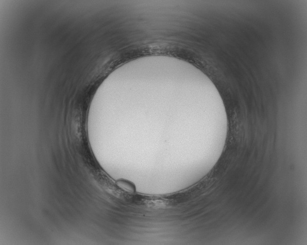 X0000080760698200701122029