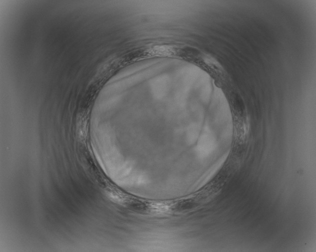X0000080760701200701122029