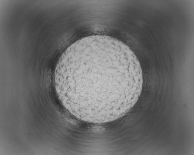 X0000080760702200701122029