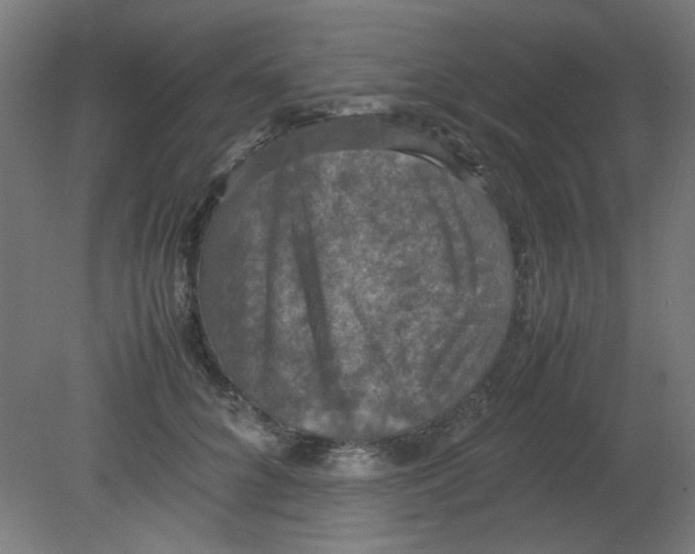 X0000080760704200701122029