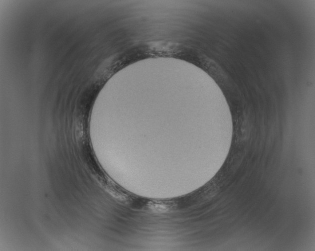 X0000080760706200701122029