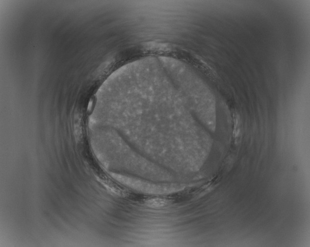 X0000080760708200701122029