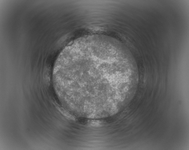 X0000080760710200701122029