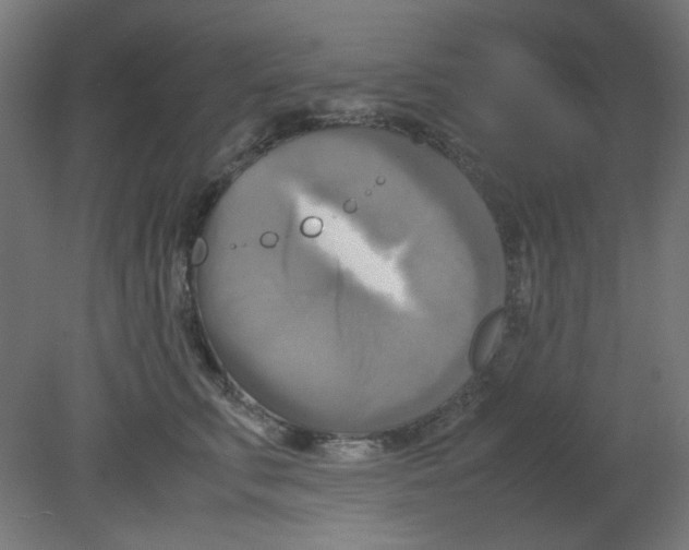 X0000080760711200701122029