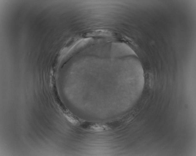 X0000080760712200701122029