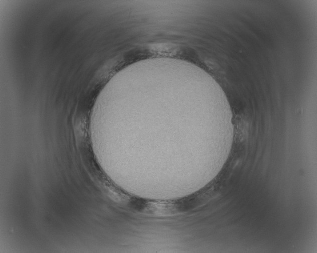 X0000080760713200701122029