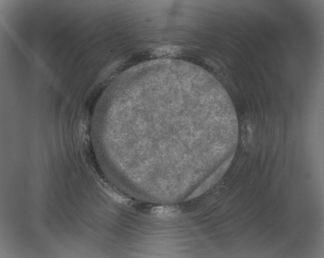 X0000080760714200701122029