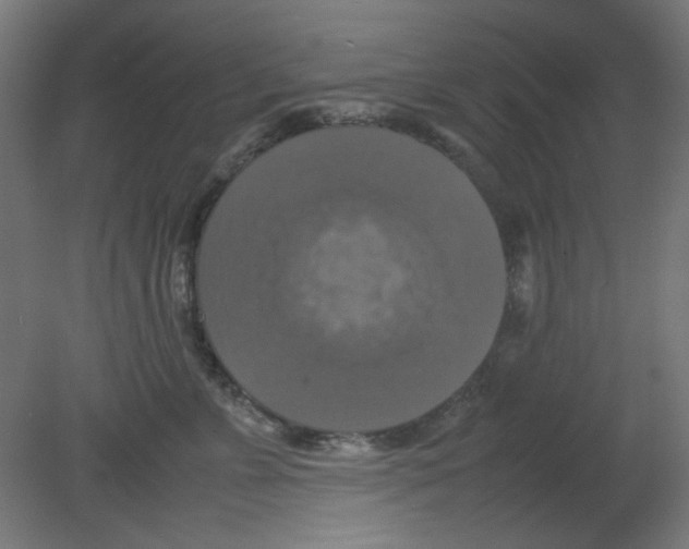 X0000080760715200701122029