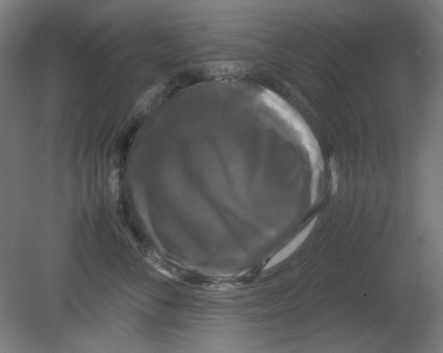 X0000080760716200701122029