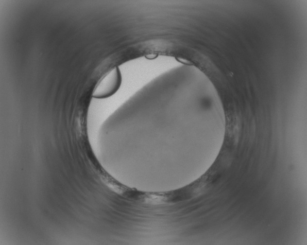 X0000080760718200701122029