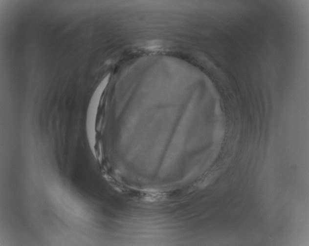 X0000080760720200701122029