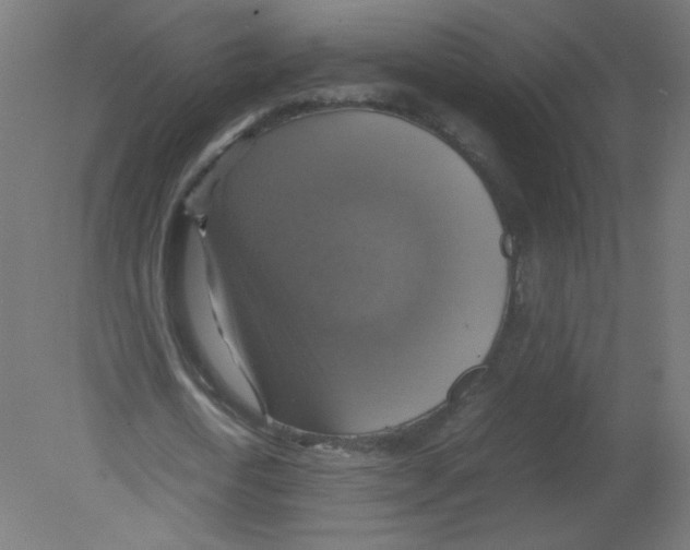X0000080760722200701122028