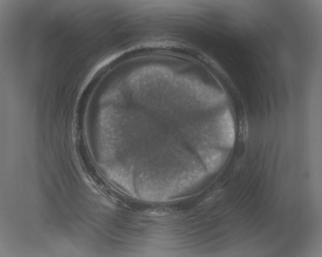 X0000080760724200701122028