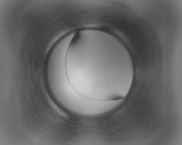 X0000080760725200701122028