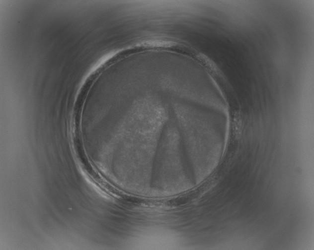 X0000080760726200701122028