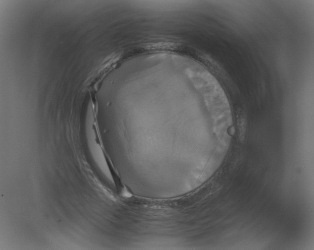X0000080760729200701122028
