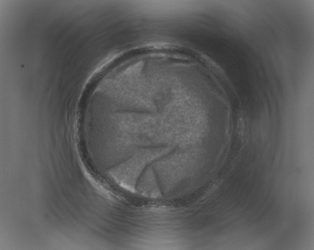 X0000080760730200701122028