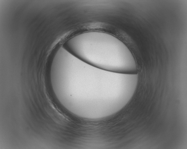 X0000080760732200701122028