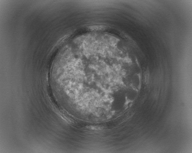 X0000080760733200701122028