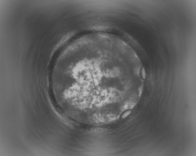 X0000080760734200701122028