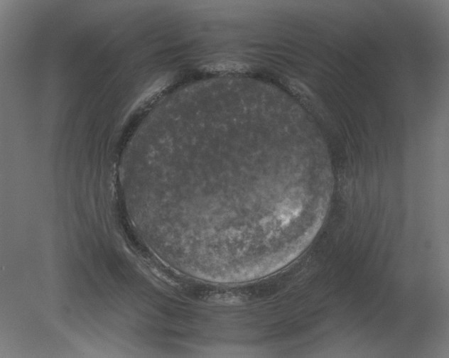 X0000080760735200701122028