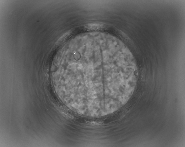 X0000080760737200701122029