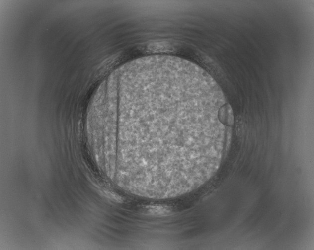 X0000080760741200701122029