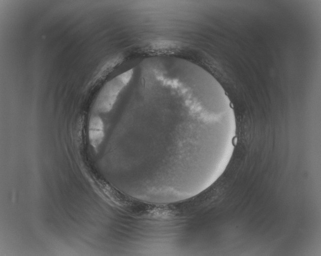 X0000080760742200701122029
