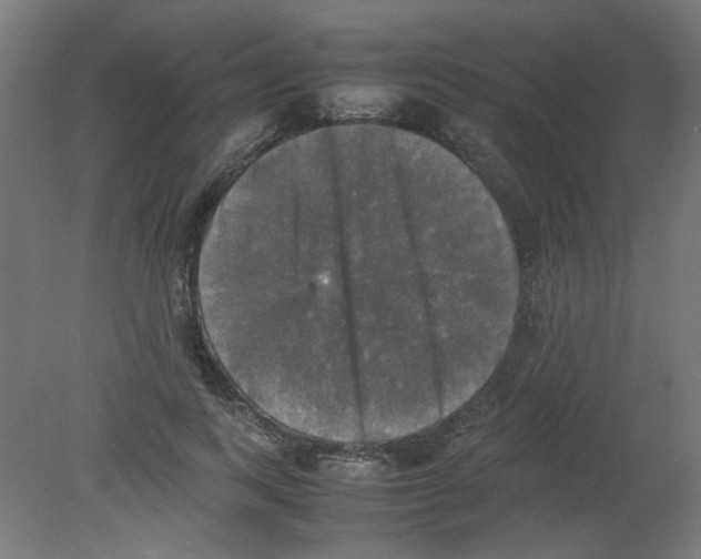 X0000080760743200701122029