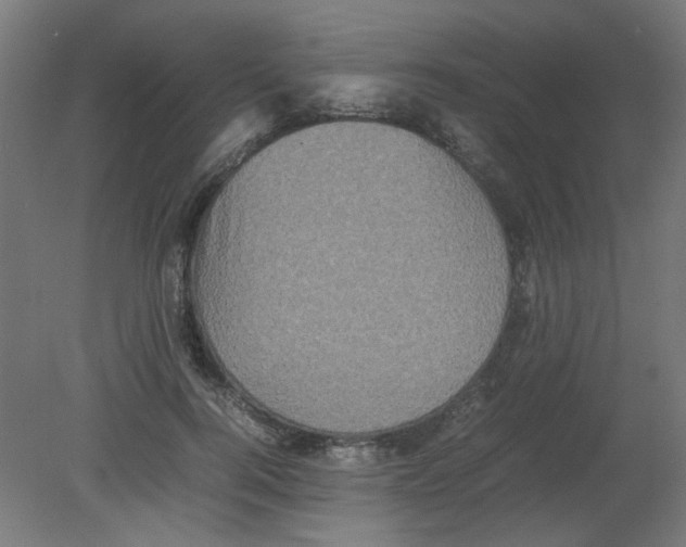 X0000080760744200701122029