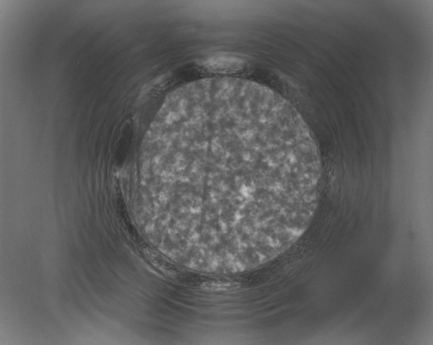 X0000080760745200701122029