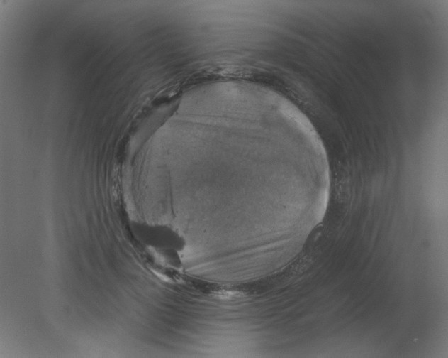 X0000080760748200701122029