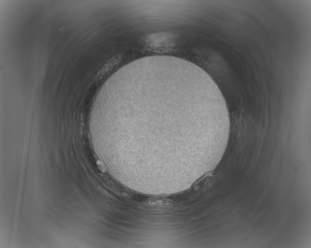 X0000080760752200701122029