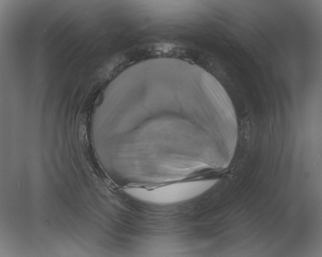 X0000080760754200701122029