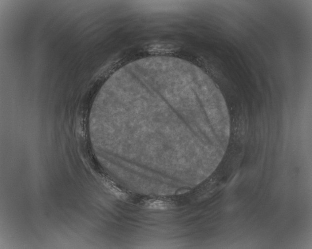 X0000080760755200701122029