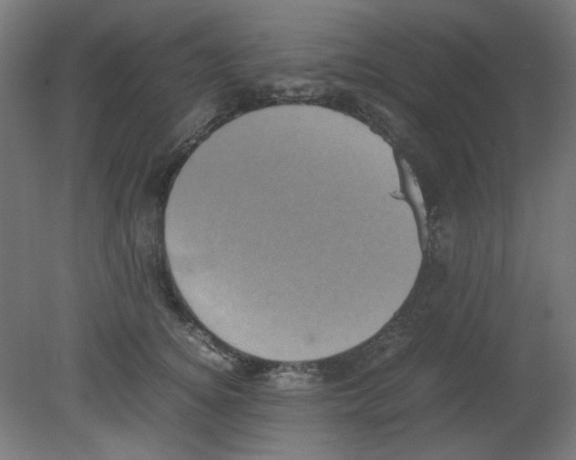 X0000080760756200701122029