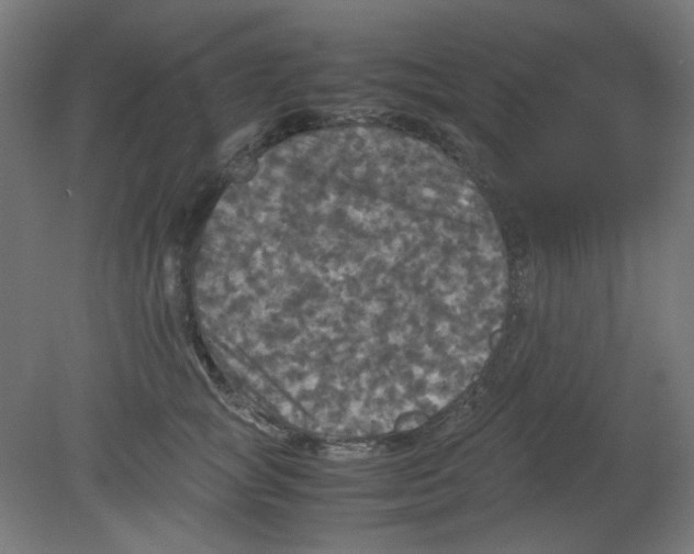 X0000080760757200701122029