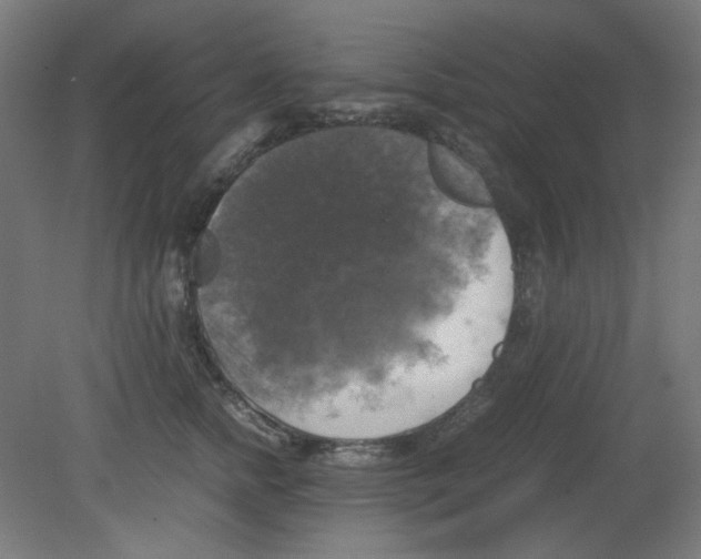X0000080760758200701122029