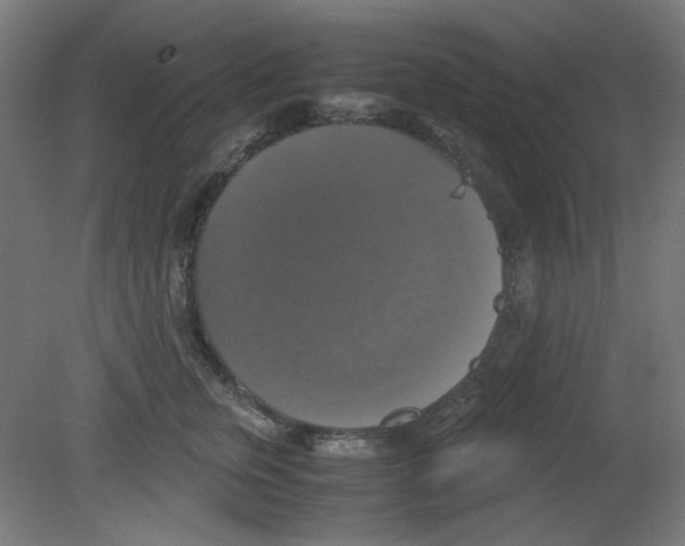X0000080760759200701122029