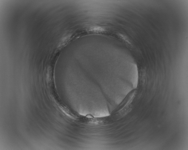 X0000080760760200701122029