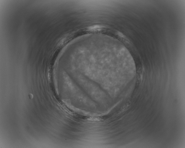 X0000080760762200701122029