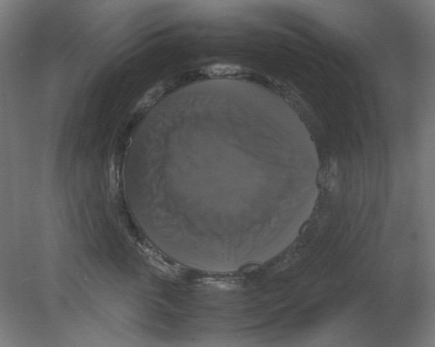 X0000080760763200701122029