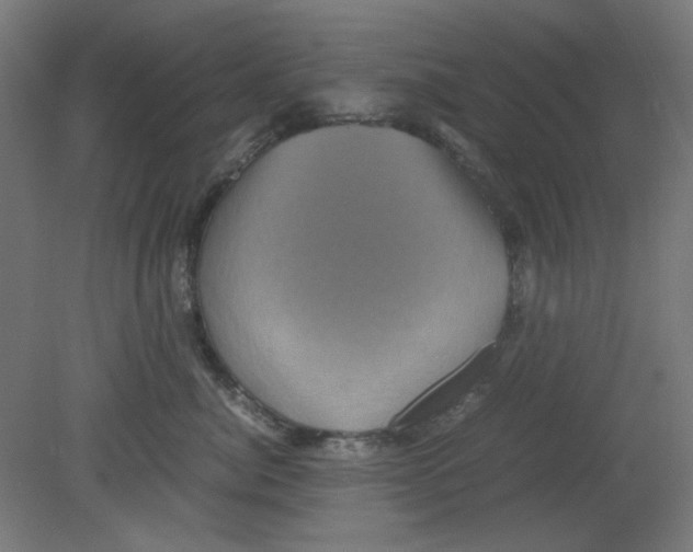 X0000080760764200701122029